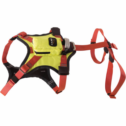 dog_harness_3_RK5CSMDCR26R.jpg